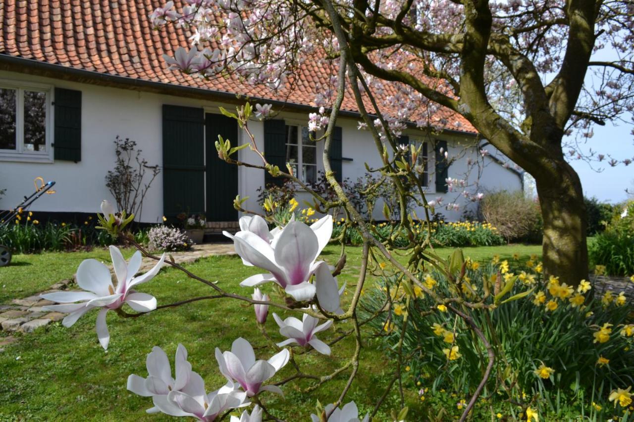 Bed and Breakfast La Longere D'Ecottes Licques Zewnętrze zdjęcie