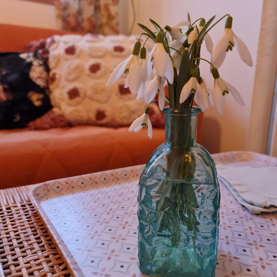 Bed and Breakfast La Longere D'Ecottes Licques Zewnętrze zdjęcie