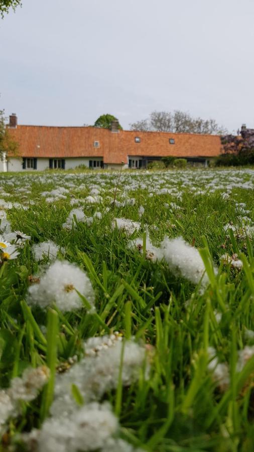 Bed and Breakfast La Longere D'Ecottes Licques Zewnętrze zdjęcie